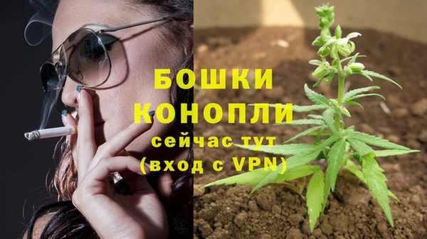 СК Нефтегорск